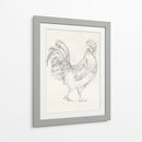 Boceto De Gallo I - Ethan Harper | Cuadro decorativo de Canvas Lab