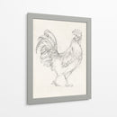 Boceto De Gallo I - Ethan Harper | Cuadro decorativo de Canvas Lab