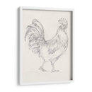 Boceto De Gallo I - Ethan Harper | Cuadro decorativo de Canvas Lab