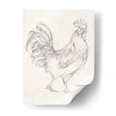 Boceto De Gallo I - Ethan Harper | Cuadro decorativo de Canvas Lab