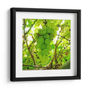 Parra - Chef Capellini | Cuadro decorativo de Canvas Lab