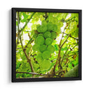 Parra - Chef Capellini | Cuadro decorativo de Canvas Lab