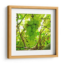 Parra - Chef Capellini | Cuadro decorativo de Canvas Lab