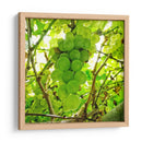 Parra - Chef Capellini | Cuadro decorativo de Canvas Lab