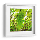 Parra - Chef Capellini | Cuadro decorativo de Canvas Lab