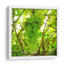 Parra - Chef Capellini | Cuadro decorativo de Canvas Lab