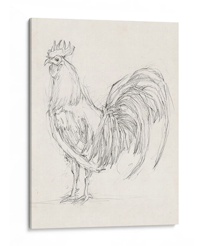 Bosquejo Del Gallo Ii - Ethan Harper | Cuadro decorativo de Canvas Lab