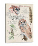 Revistas De Vida Silvestre I - Jennifer Paxton Parker | Cuadro decorativo de Canvas Lab