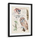 Revistas De Vida Silvestre I - Jennifer Paxton Parker | Cuadro decorativo de Canvas Lab