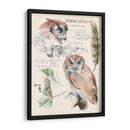 Revistas De Vida Silvestre I - Jennifer Paxton Parker | Cuadro decorativo de Canvas Lab