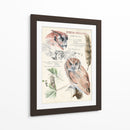 Revistas De Vida Silvestre I - Jennifer Paxton Parker | Cuadro decorativo de Canvas Lab