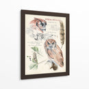 Revistas De Vida Silvestre I - Jennifer Paxton Parker | Cuadro decorativo de Canvas Lab