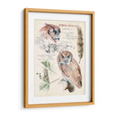 Revistas De Vida Silvestre I - Jennifer Paxton Parker | Cuadro decorativo de Canvas Lab