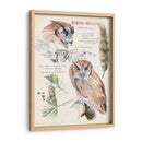 Revistas De Vida Silvestre I - Jennifer Paxton Parker | Cuadro decorativo de Canvas Lab