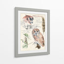 Revistas De Vida Silvestre I - Jennifer Paxton Parker | Cuadro decorativo de Canvas Lab