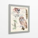 Revistas De Vida Silvestre I - Jennifer Paxton Parker | Cuadro decorativo de Canvas Lab