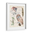 Revistas De Vida Silvestre I - Jennifer Paxton Parker | Cuadro decorativo de Canvas Lab