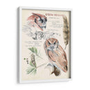 Revistas De Vida Silvestre I - Jennifer Paxton Parker | Cuadro decorativo de Canvas Lab