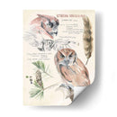 Revistas De Vida Silvestre I - Jennifer Paxton Parker | Cuadro decorativo de Canvas Lab