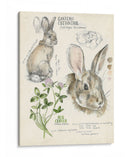 Revistas De Vida Silvestre Ii - Jennifer Paxton Parker | Cuadro decorativo de Canvas Lab