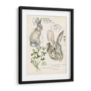 Revistas De Vida Silvestre Ii - Jennifer Paxton Parker | Cuadro decorativo de Canvas Lab