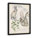 Revistas De Vida Silvestre Ii - Jennifer Paxton Parker | Cuadro decorativo de Canvas Lab