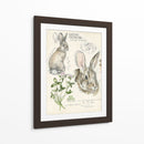 Revistas De Vida Silvestre Ii - Jennifer Paxton Parker | Cuadro decorativo de Canvas Lab