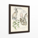 Revistas De Vida Silvestre Ii - Jennifer Paxton Parker | Cuadro decorativo de Canvas Lab
