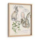 Revistas De Vida Silvestre Ii - Jennifer Paxton Parker | Cuadro decorativo de Canvas Lab