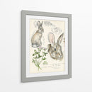 Revistas De Vida Silvestre Ii - Jennifer Paxton Parker | Cuadro decorativo de Canvas Lab