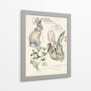 Revistas De Vida Silvestre Ii - Jennifer Paxton Parker | Cuadro decorativo de Canvas Lab