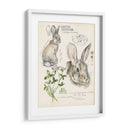 Revistas De Vida Silvestre Ii - Jennifer Paxton Parker | Cuadro decorativo de Canvas Lab