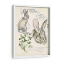 Revistas De Vida Silvestre Ii - Jennifer Paxton Parker | Cuadro decorativo de Canvas Lab