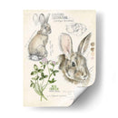 Revistas De Vida Silvestre Ii - Jennifer Paxton Parker | Cuadro decorativo de Canvas Lab