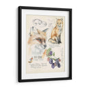 Diarios De Vida Silvestre Iii - Jennifer Paxton Parker | Cuadro decorativo de Canvas Lab