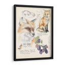Diarios De Vida Silvestre Iii - Jennifer Paxton Parker | Cuadro decorativo de Canvas Lab