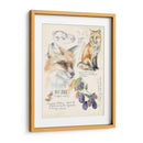 Diarios De Vida Silvestre Iii - Jennifer Paxton Parker | Cuadro decorativo de Canvas Lab