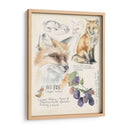 Diarios De Vida Silvestre Iii - Jennifer Paxton Parker | Cuadro decorativo de Canvas Lab