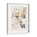 Diarios De Vida Silvestre Iii - Jennifer Paxton Parker | Cuadro decorativo de Canvas Lab