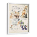 Diarios De Vida Silvestre Iii - Jennifer Paxton Parker | Cuadro decorativo de Canvas Lab