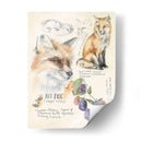 Diarios De Vida Silvestre Iii - Jennifer Paxton Parker | Cuadro decorativo de Canvas Lab