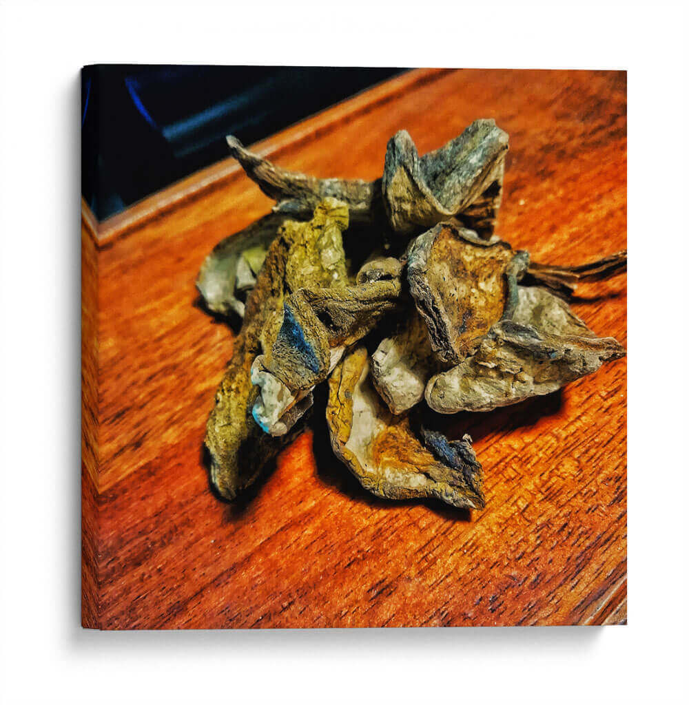 Porcini - Chef Capellini | Cuadro decorativo de Canvas Lab