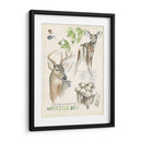 Revistas De Vida Silvestre Iv - Jennifer Paxton Parker | Cuadro decorativo de Canvas Lab