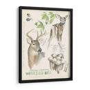 Revistas De Vida Silvestre Iv - Jennifer Paxton Parker | Cuadro decorativo de Canvas Lab