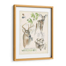 Revistas De Vida Silvestre Iv - Jennifer Paxton Parker | Cuadro decorativo de Canvas Lab