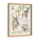 Revistas De Vida Silvestre Iv - Jennifer Paxton Parker | Cuadro decorativo de Canvas Lab