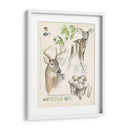 Revistas De Vida Silvestre Iv - Jennifer Paxton Parker | Cuadro decorativo de Canvas Lab
