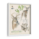 Revistas De Vida Silvestre Iv - Jennifer Paxton Parker | Cuadro decorativo de Canvas Lab