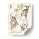 Revistas De Vida Silvestre Iv - Jennifer Paxton Parker | Cuadro decorativo de Canvas Lab