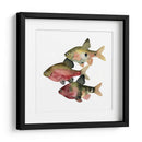 Pescado Del Arco Iris I - Emma Scarvey | Cuadro decorativo de Canvas Lab